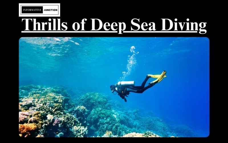 Read more about the article Discovering the Mysteries of the Deep: The Thrills of Deep Sea Diving