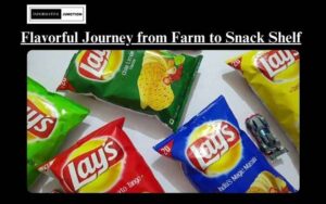 Read more about the article Lays Potato Chips: A Flavorful Journey from Farm to Snack Shelf