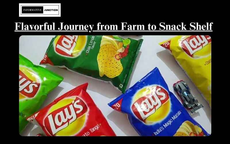 You are currently viewing Lays Potato Chips: A Flavorful Journey from Farm to Snack Shelf