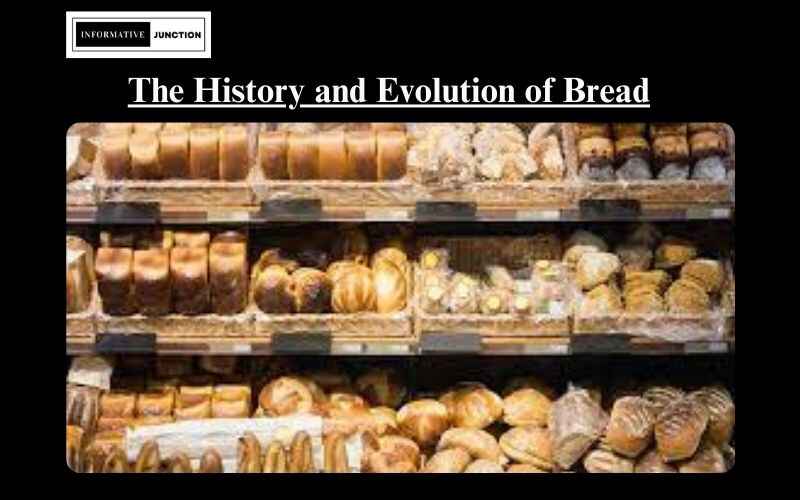 You are currently viewing The History and Evolution of Bread: From Ancient Grains to Modern Baking