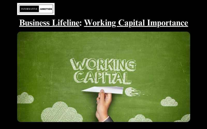 You are currently viewing The Lifeline of Business: Exploring the Importance of Working Capital for Sustainability