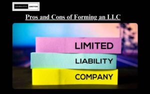 Read more about the article Understanding the Pros and Cons of Forming a Limited Liability Company (LLC) for Your Business