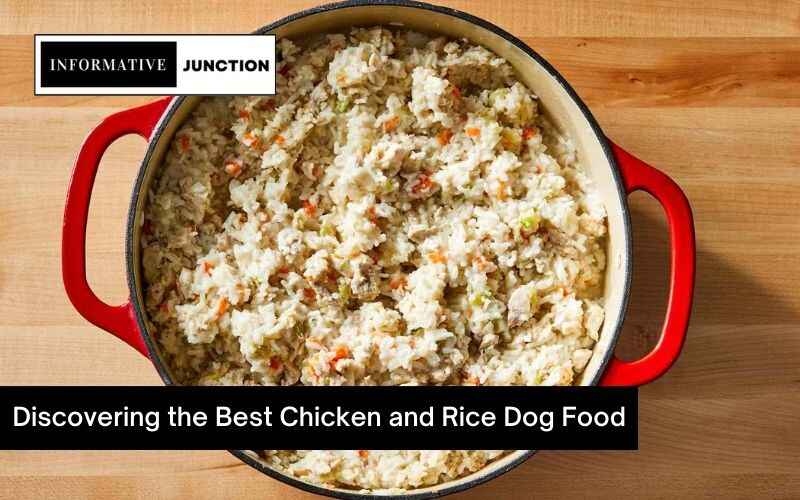 Read more about the article Discovering the Best Chicken and Rice Dog Food: Nutritional Excellence