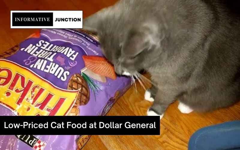 You are currently viewing Unlock the High-Quality, Low-Priced Cat Food at Dollar General