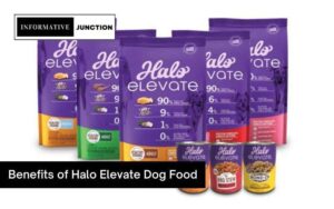 Read more about the article Exploring the Benefits of Halo Elevate Dog Food
