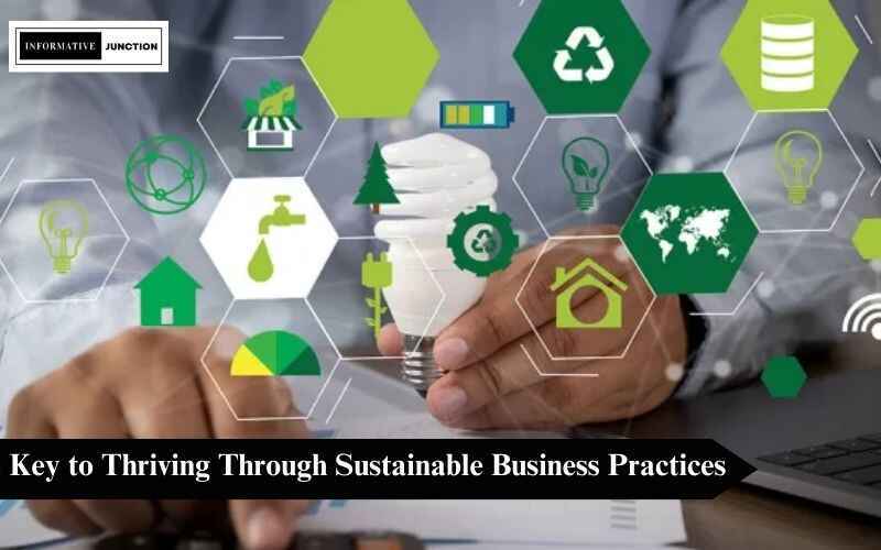 Read more about the article Embracing Sustainability: The Key to Thriving Through Sustainable Business Practices