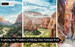 Read more about the article Exploring the Wonders of Hiking Zion National Park