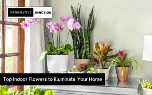 Read more about the article Top Indoor Flowers to Illuminate Your Home During the Fall Season