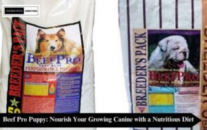 Read more about the article Beef Pro Puppy: A Nutritious and Delicious Diet for Your Growing Canine