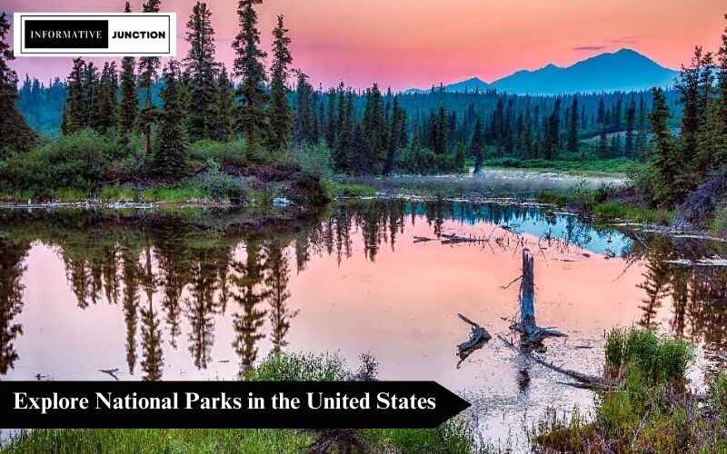 Read more about the article Unveil the Majestic Splendor: A Journey Through National Parks in the United States